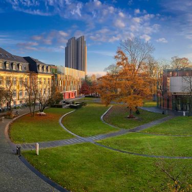 Campus Bucerius Law School