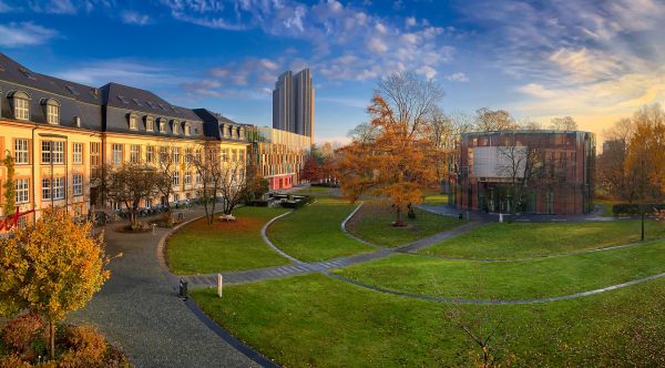 Campus Bucerius Law School