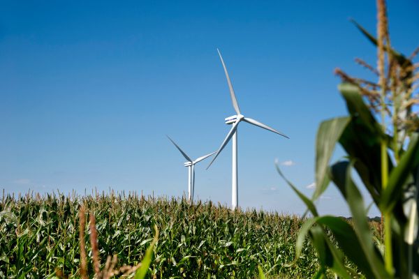 Windkraftregion Grabau