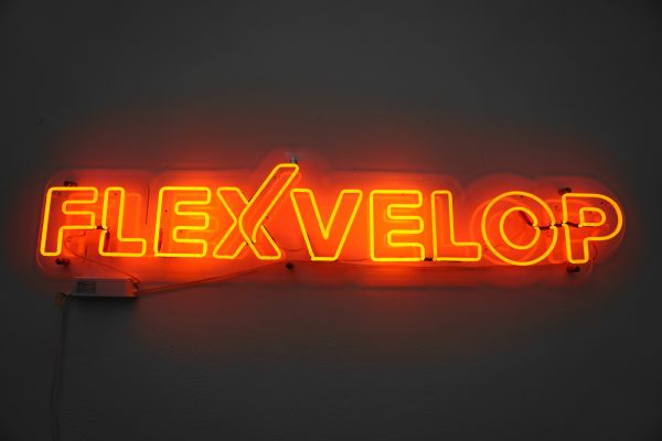 © Mathias Jäger/Hamburg Startups: a neon version of the Flexvelop logo