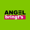 Logo of ANGEL Last Mile GmbH