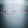 Logo von D+S Communication Center Management GmbH