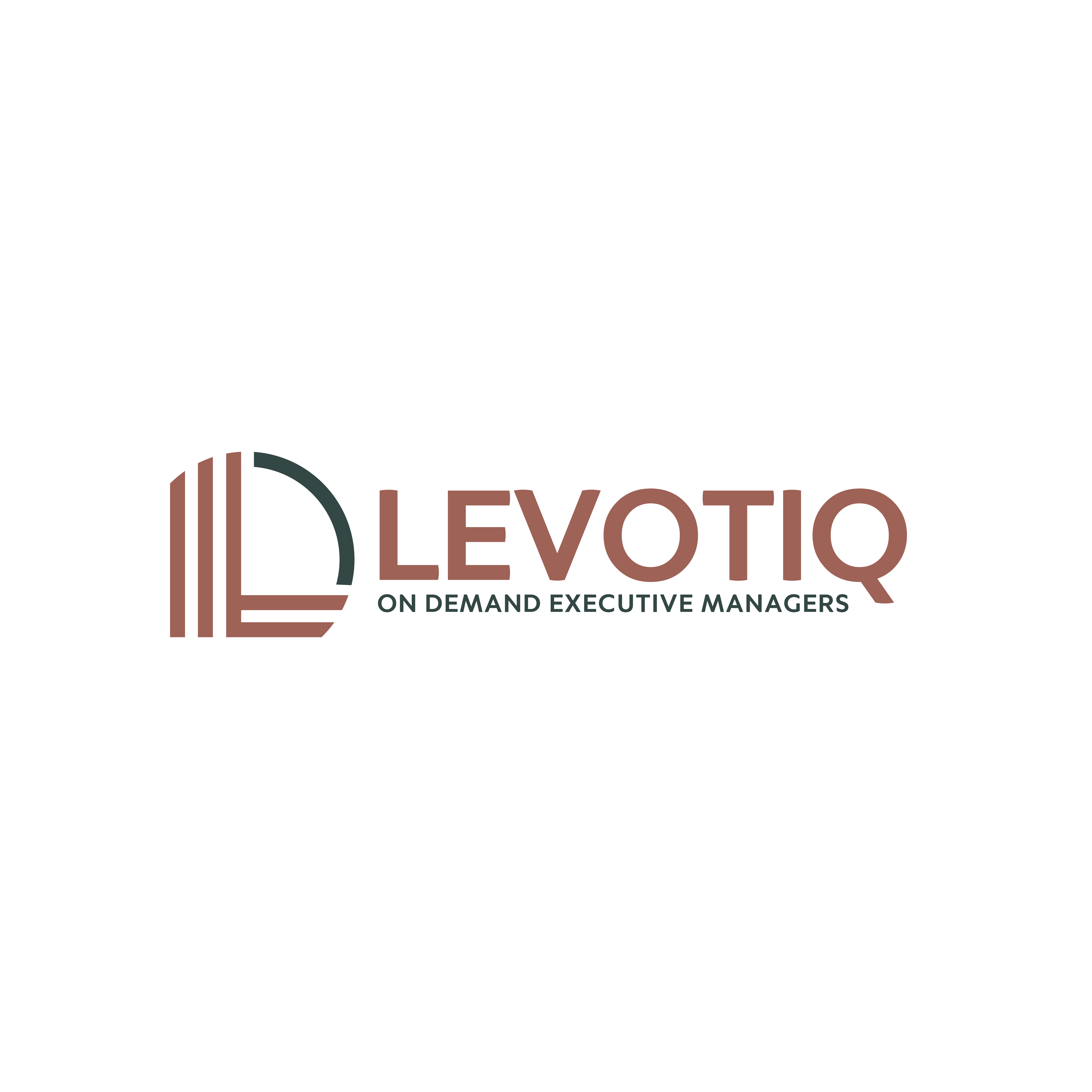 Logo von levotiq-1713951355.jpg